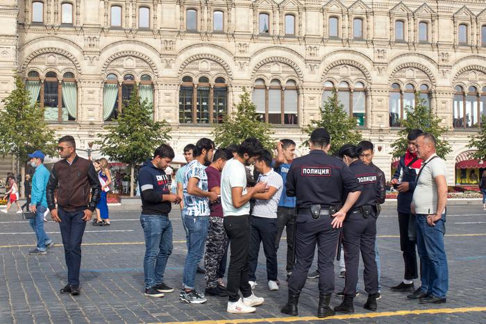 Правительство поддержало конфискацию имущества за незаконную миграцию