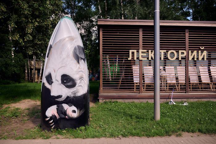 Расписные лодки прибыли покорять Кузьминки