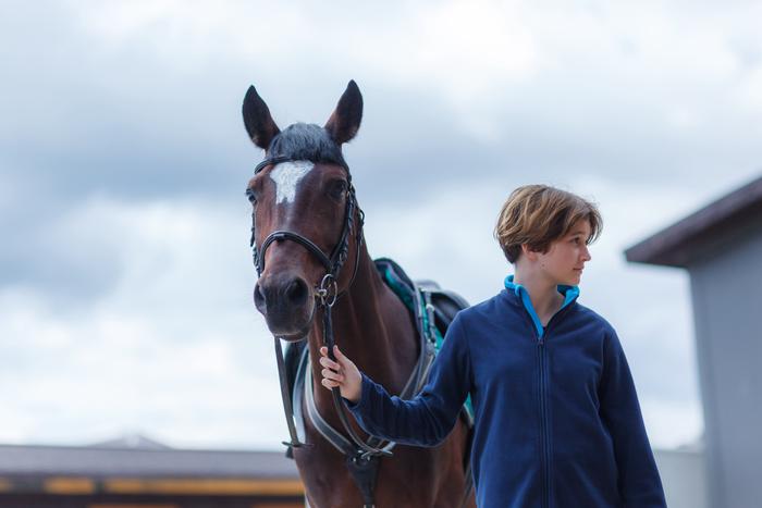 Конь Ценя пробрался на премьеру фильма в Москве. Рассказываем, как ему это удалось