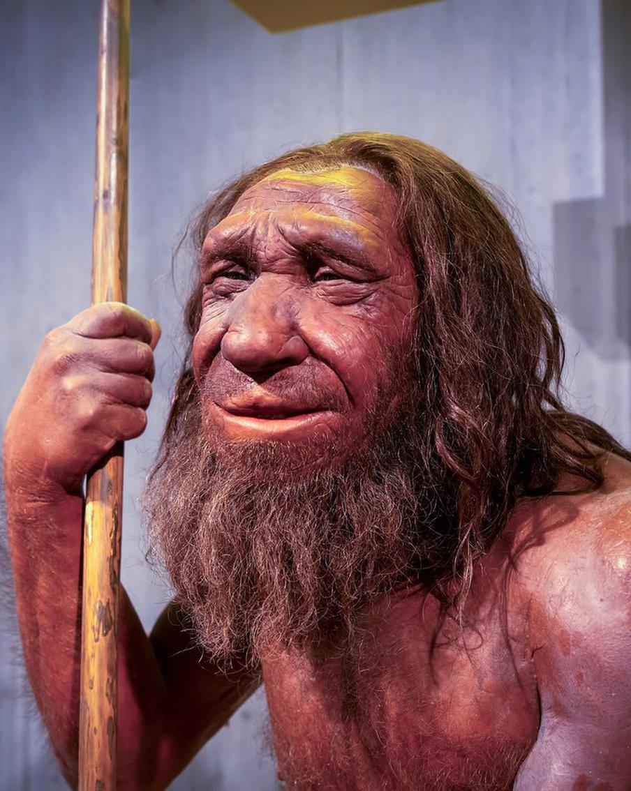 Учёные нашли останки первого неандертальца, который страдал синдромом Дауна