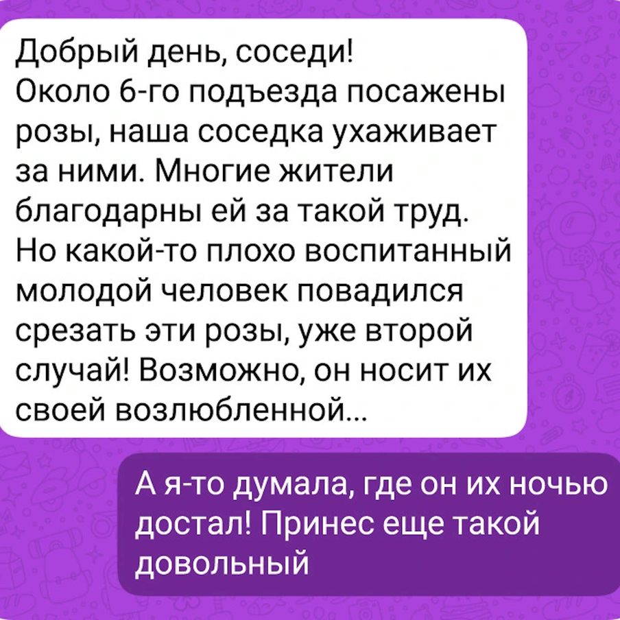 Реальные скриншоты из домовых чатов