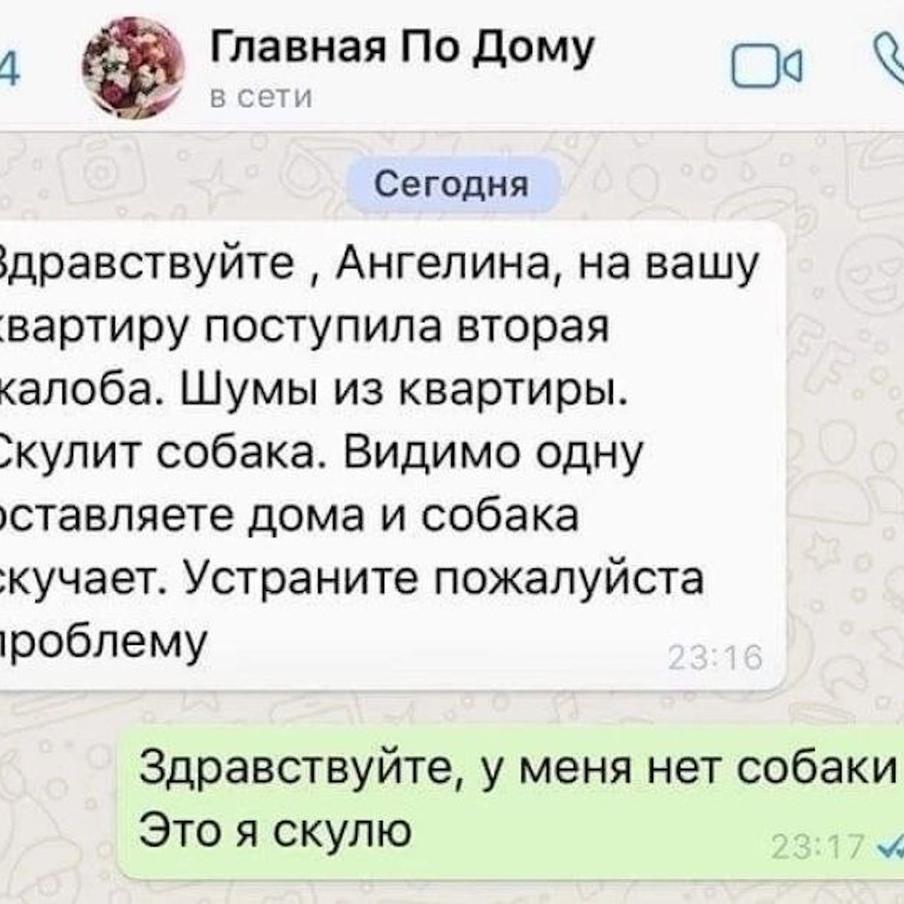 Реальные скриншоты из домовых чатов