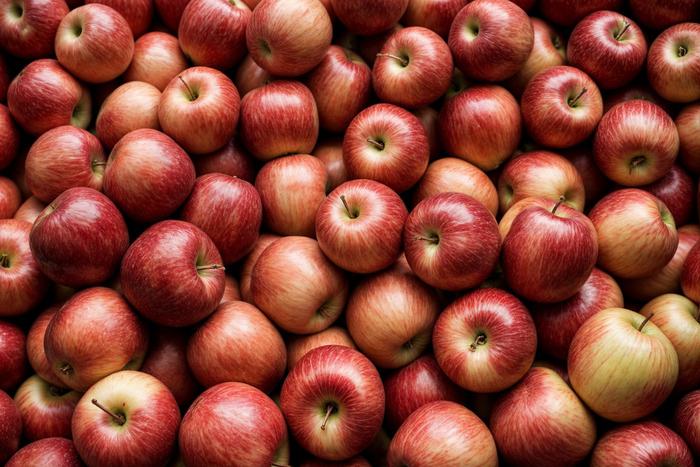 Овощи и фрукты в России за полгода сильно подорожали – когда ожидать снижения цен