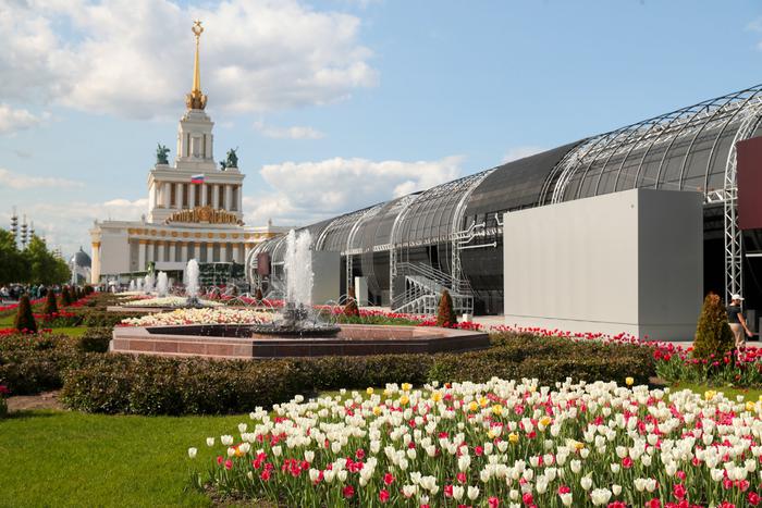 Что будет на Московском медиафестивале, который пройдёт на ВДНХ с 31 августа по 1 сентября