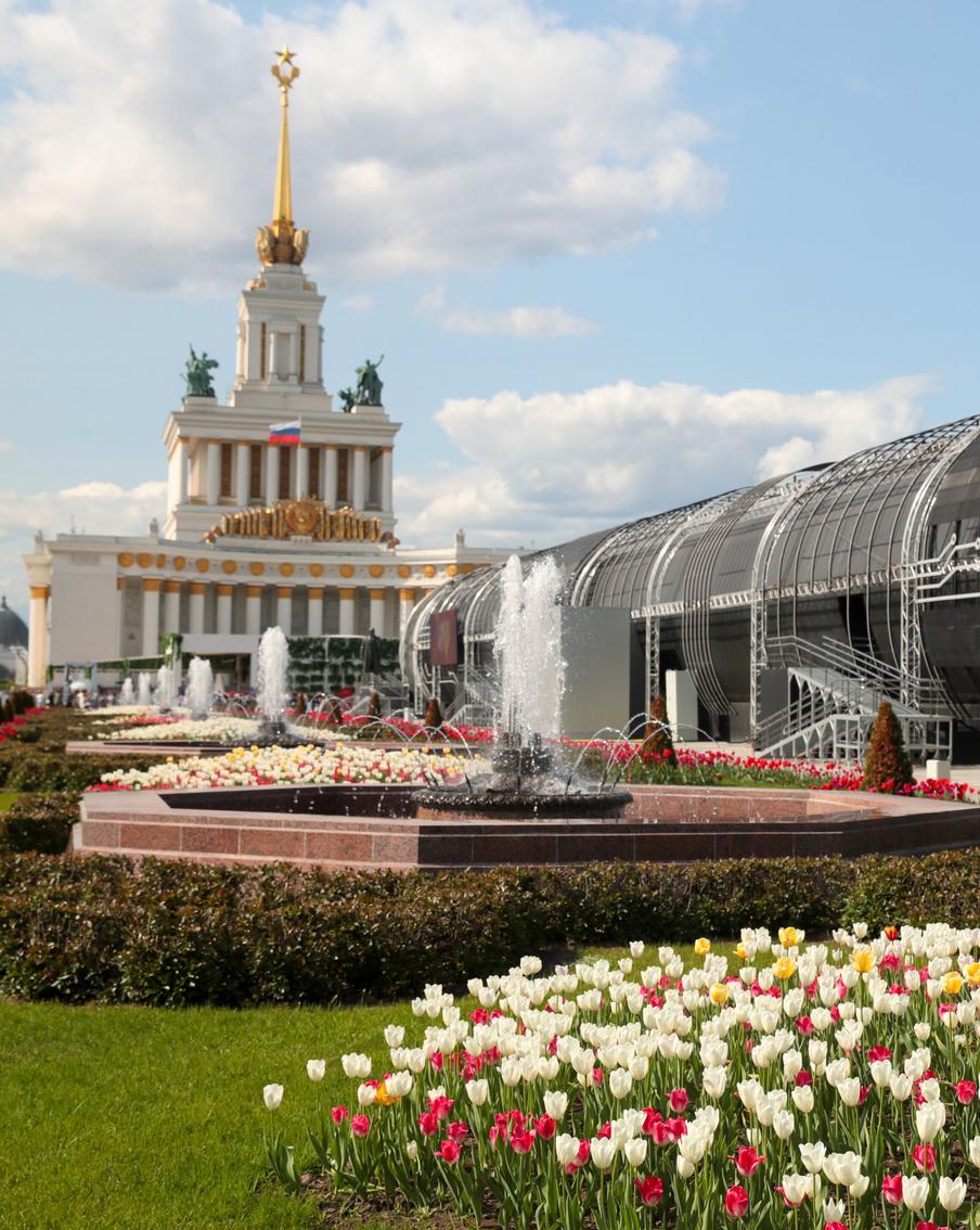 Что будет на Московском медиафестивале, который пройдёт на ВДНХ с 31 августа по 1 сентября