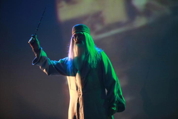 Образ Альбуса Дамблдора из "Гарри Поттера".