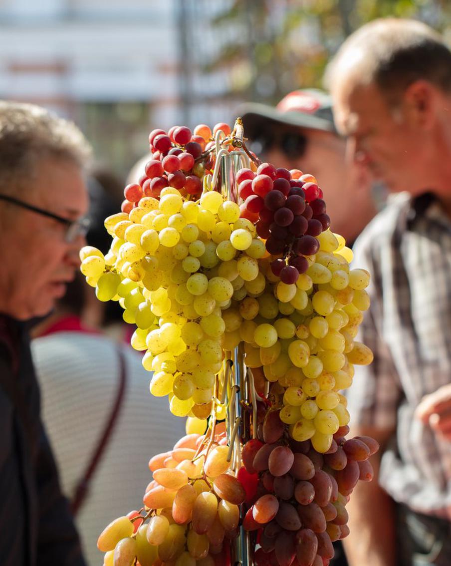 Россия начала импорт вин из Белоруссии