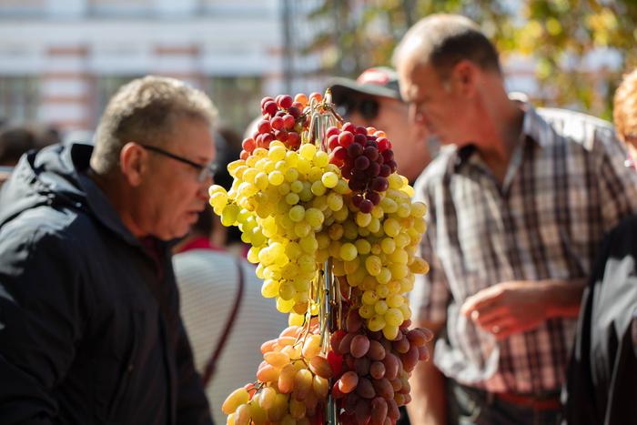 Россия начала импорт вин из Белоруссии
