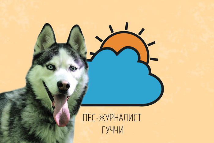 Гуччи рад сообщить: столица немного отдохнёт от жары