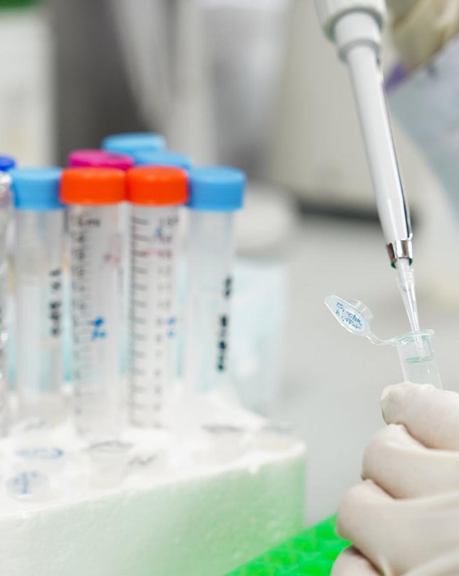 В Роспотребнадзоре полностью отвергли вероятность завоза в Россию заболеваний вроде бубонной чумы