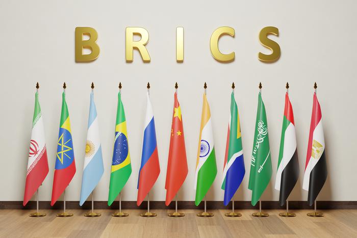 В БРИКС обсуждают введение единой валюты в объединении, но пока это возможно лишь в долгосрочной перспективе