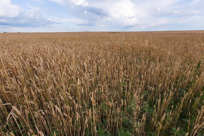 ВС России освободили населенный пункт Чигари, над Мелитополем сбиты HIMARS: хроника очередных событий украинского кризиса