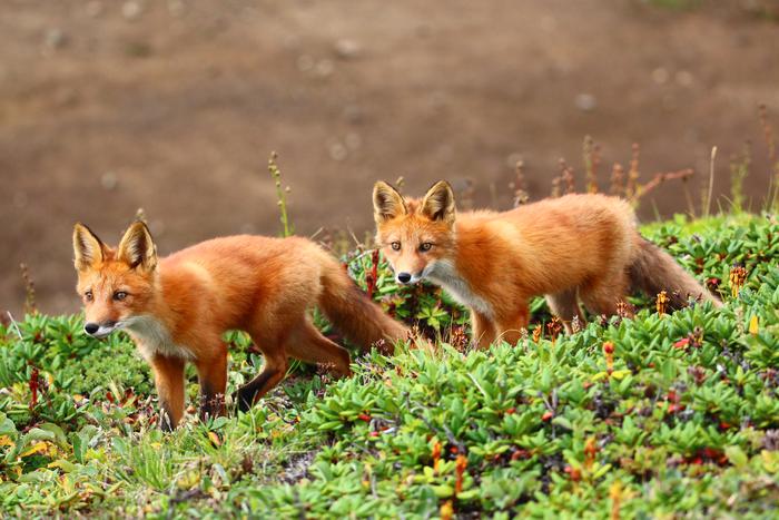 Фотоконкурс "Планета Россия" собрал лучшие снимки из разных уголков страны