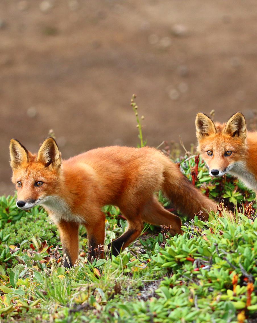 Фотоконкурс "Планета Россия" собрал лучшие снимки из разных уголков страны