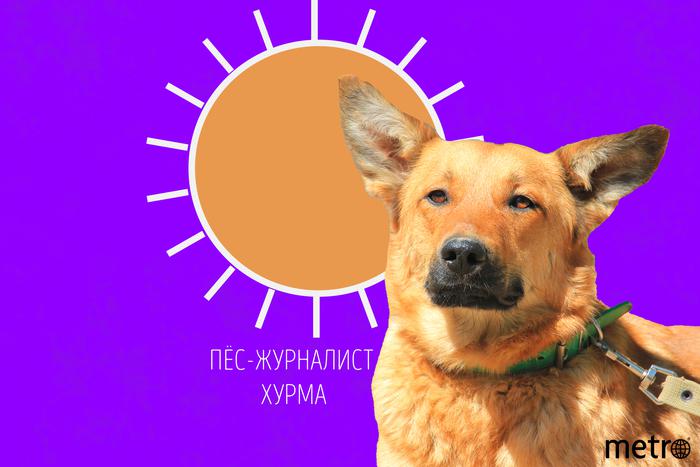 Хурма сообщает москвичам: к нам возвращаются "тропические ночи"