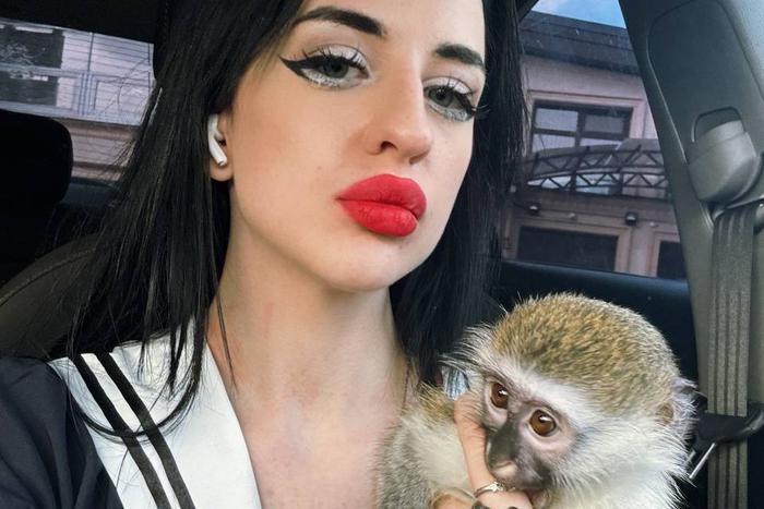 4 саймири и 1 мартышка играют в прятки, ловят насекомых и грустят в дождливую погоду в одной из московских квартир