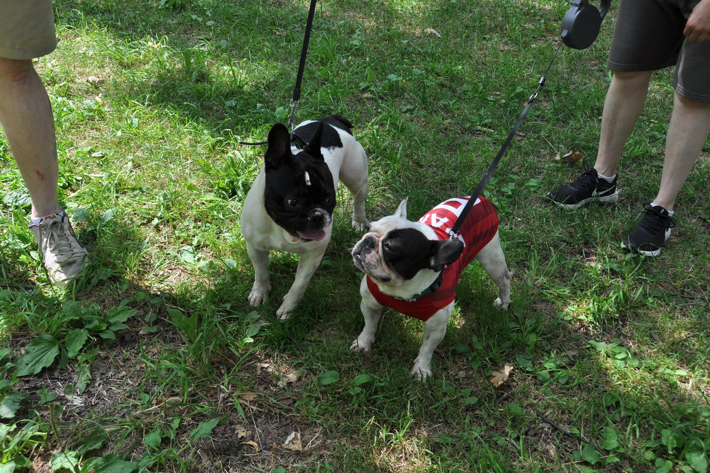 Сладкие "булочки"