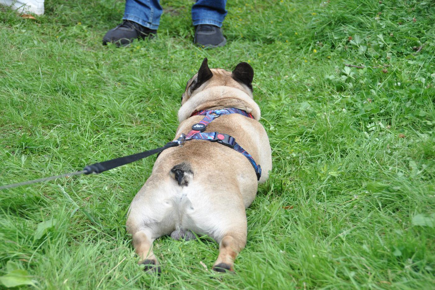 Сладкие "булочки"