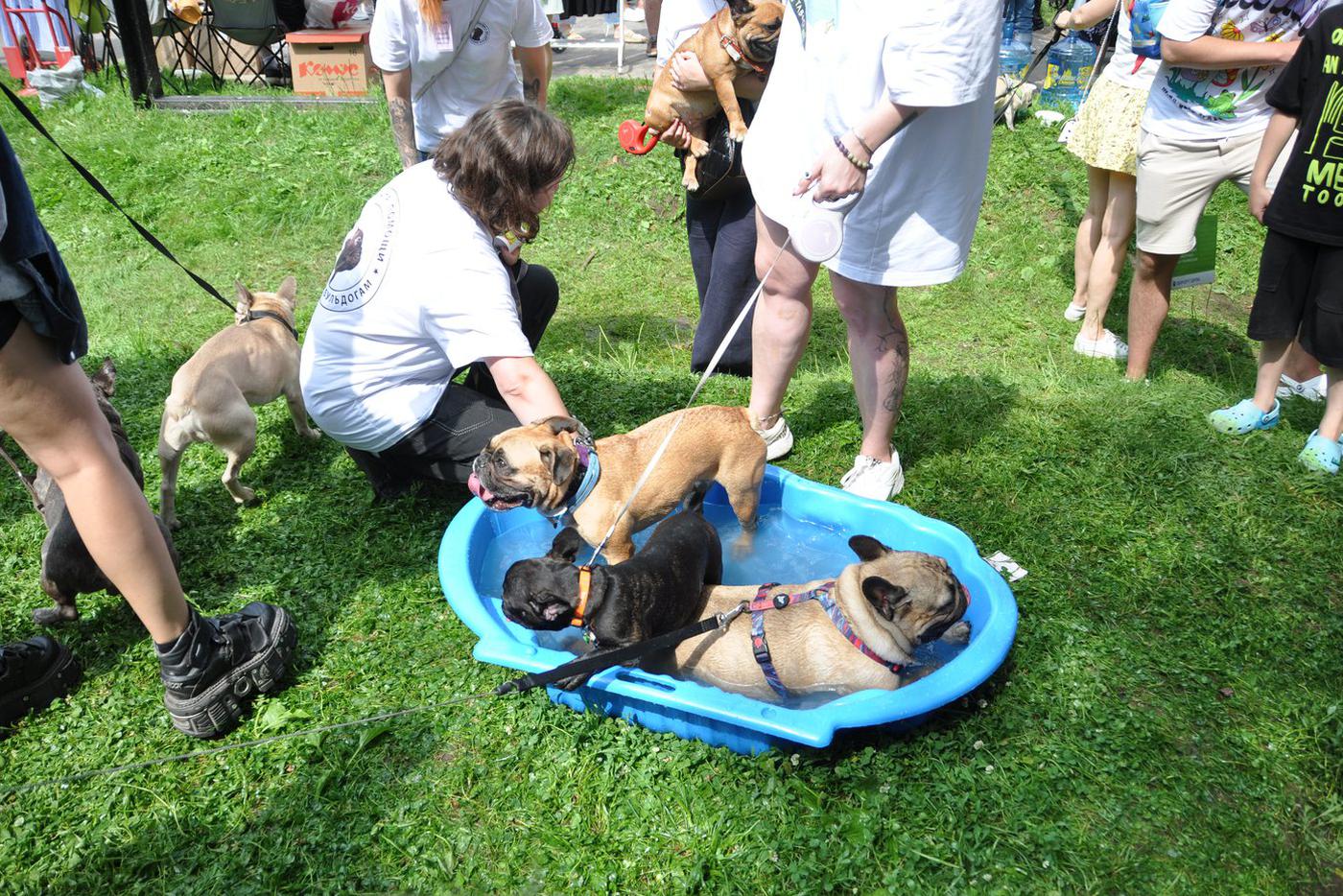 Сладкие "булочки"