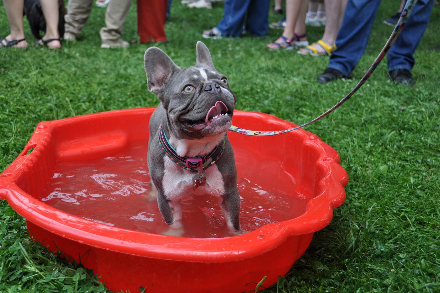 Сладкие "булочки"