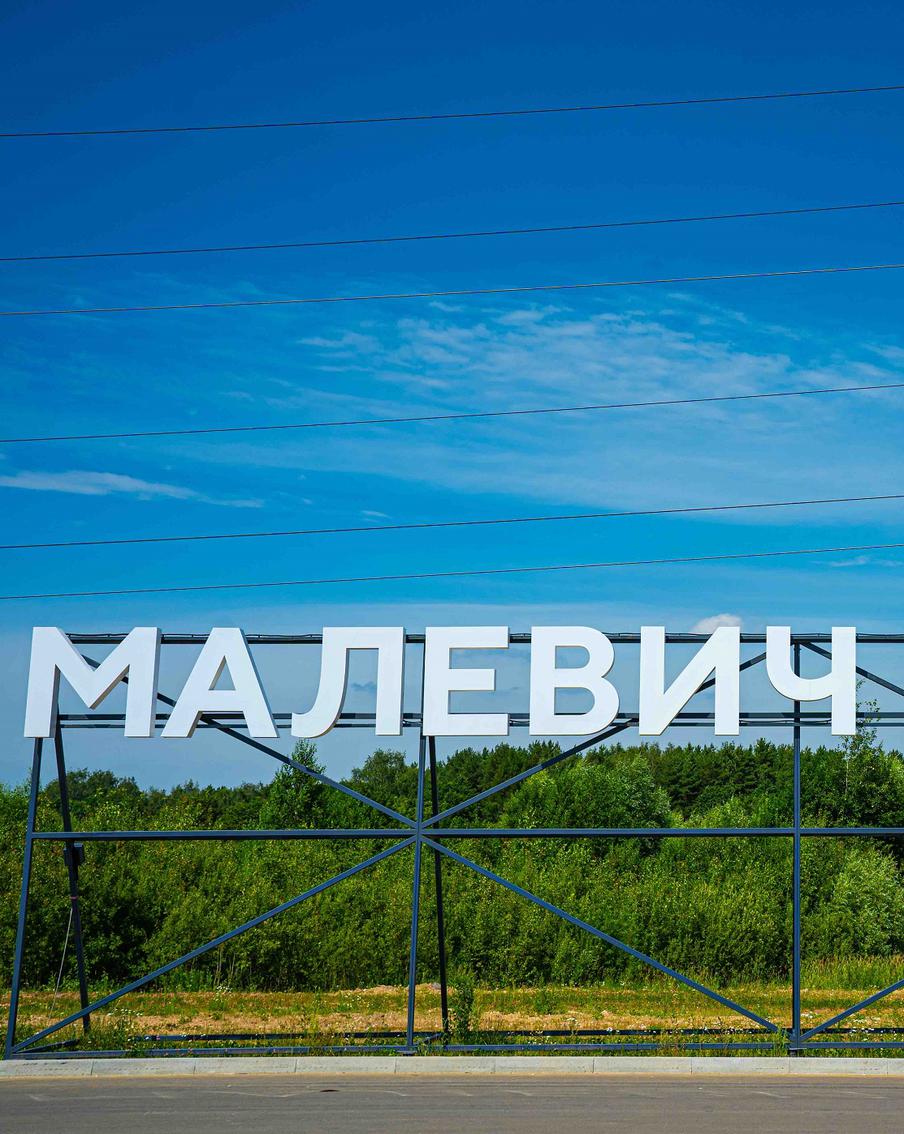 Подмосковный лес "заговорил" субтитрами и начал принимать сигналы с небес