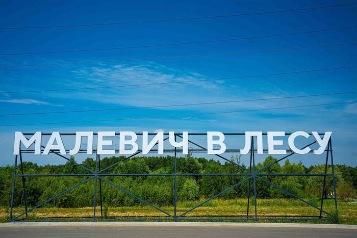 Подмосковный лес "заговорил" субтитрами и начал принимать сигналы с небес