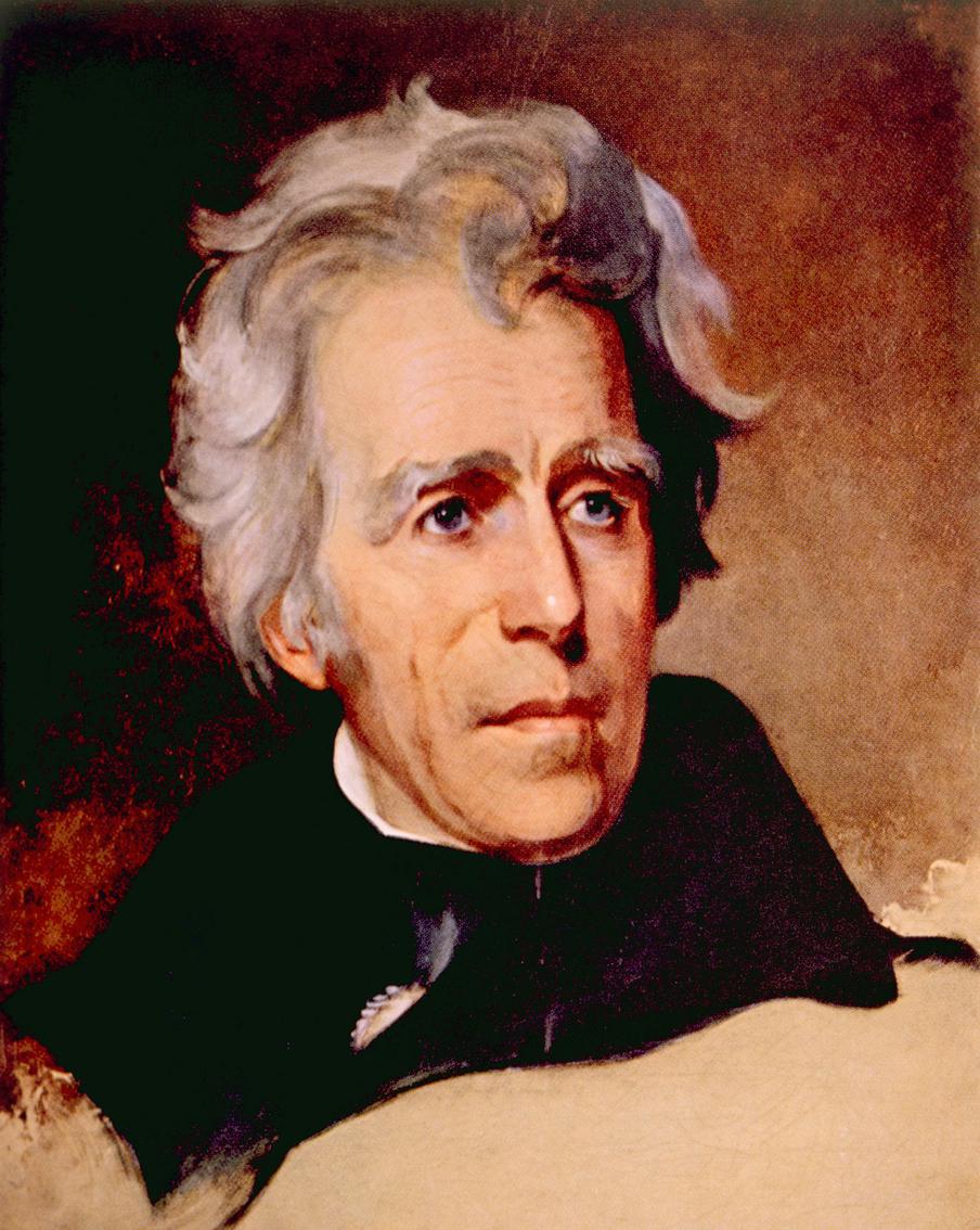 Эндрю Джексон (1767–1845), президент США с 1829 по 1837 год.