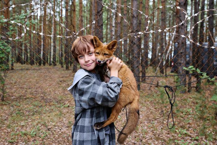 На съёмках фильма "Мой дикий друг" самыми капризными звёздами были лисята