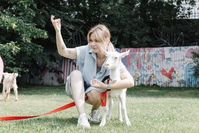 В Парке Горького появился новый вид йоги – нэннийога. Теперь москвичи принимают асаны вместе с настоящими козочками