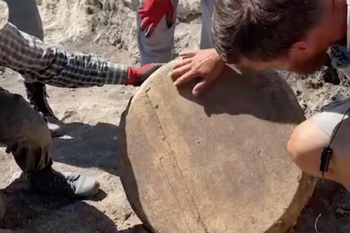 В Крыму нашли древний артефакт торговли римлян и греков