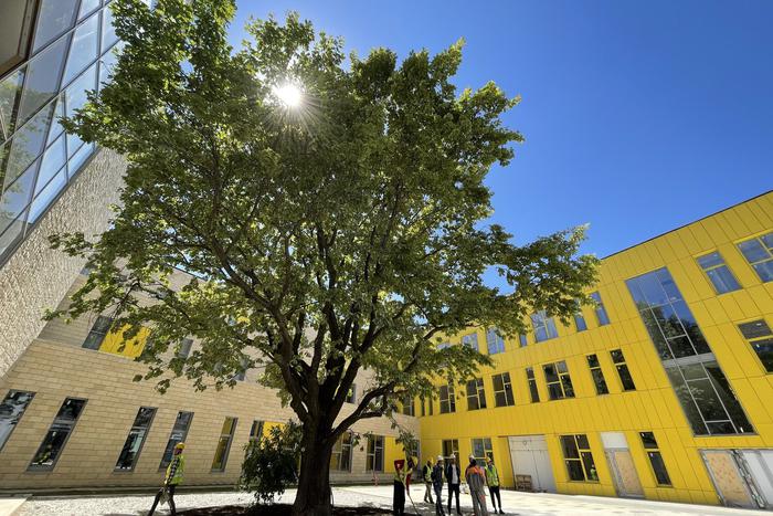 Собянин: В этом году в районе Коммунарка появится 9 образовательных учреждений