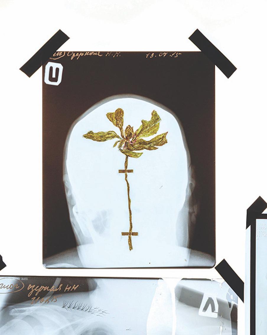 Когда снимки родных и друзей закончились – Полина пошла искать их в интернете