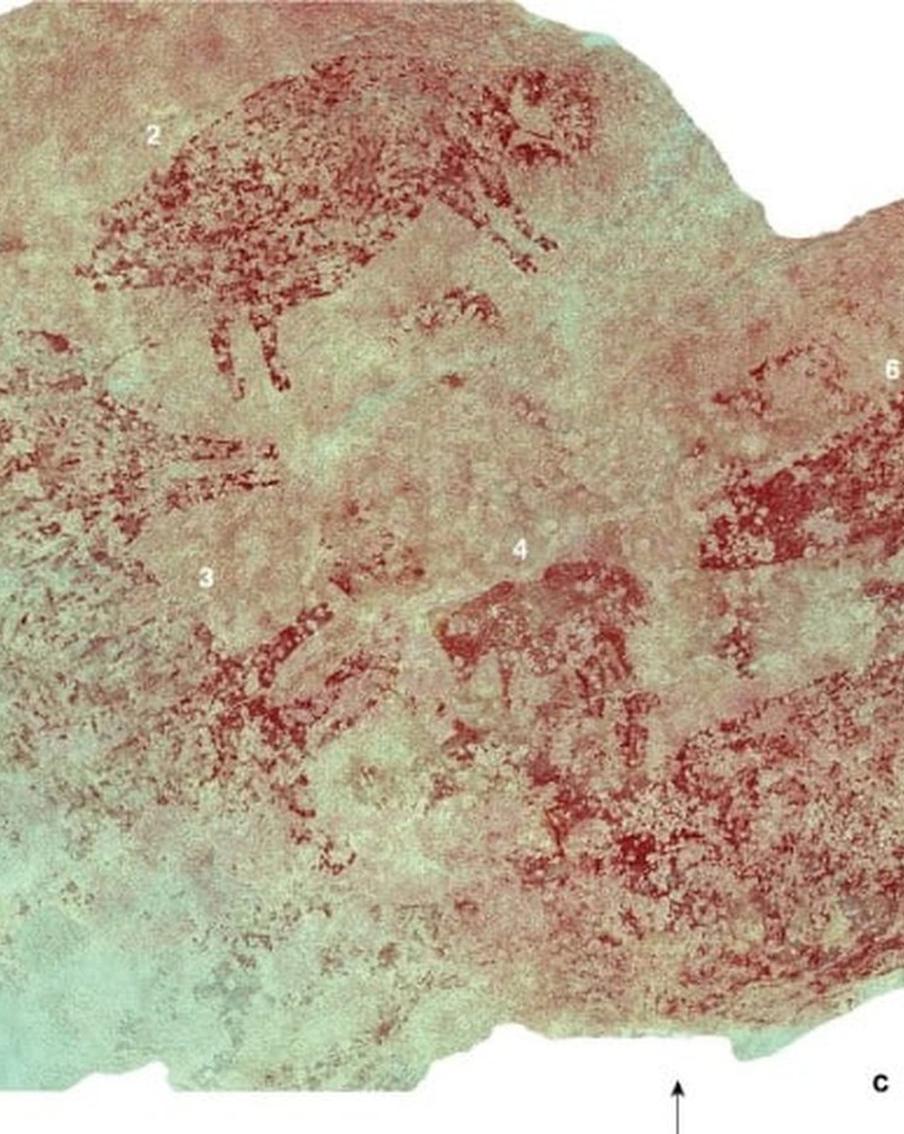 Древних людей недооценивали: они могли рисовать не хуже, чем современные