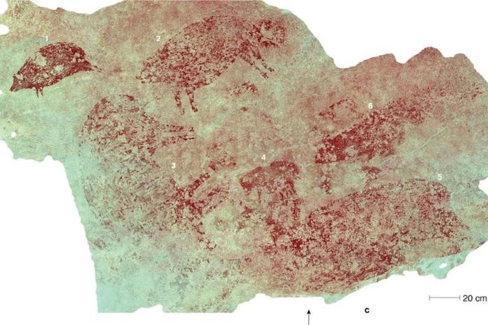 Древних людей недооценивали: они могли рисовать не хуже, чем современные