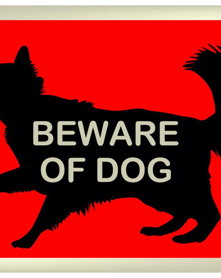 Бездомным собакам смягчили приговор: усыплять их запрещено