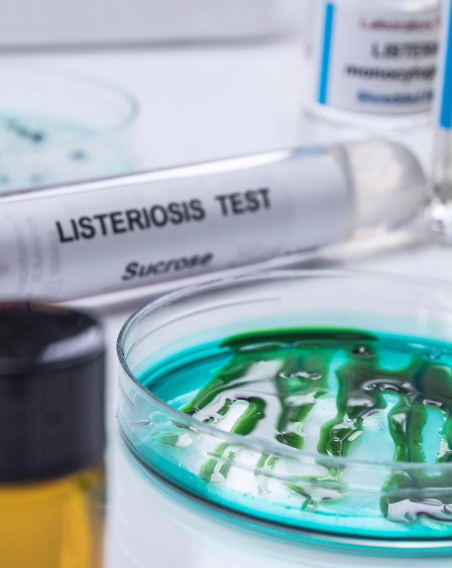 Эпидемия смертельно опасного заболевания охватила США вслед за граничащей со страной Канадой