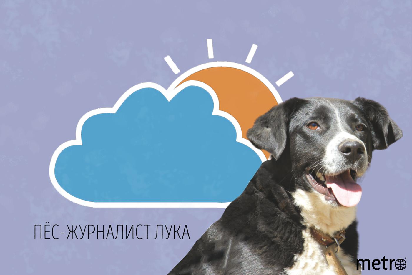 Почему 30-градусная жара в Москве закончилась