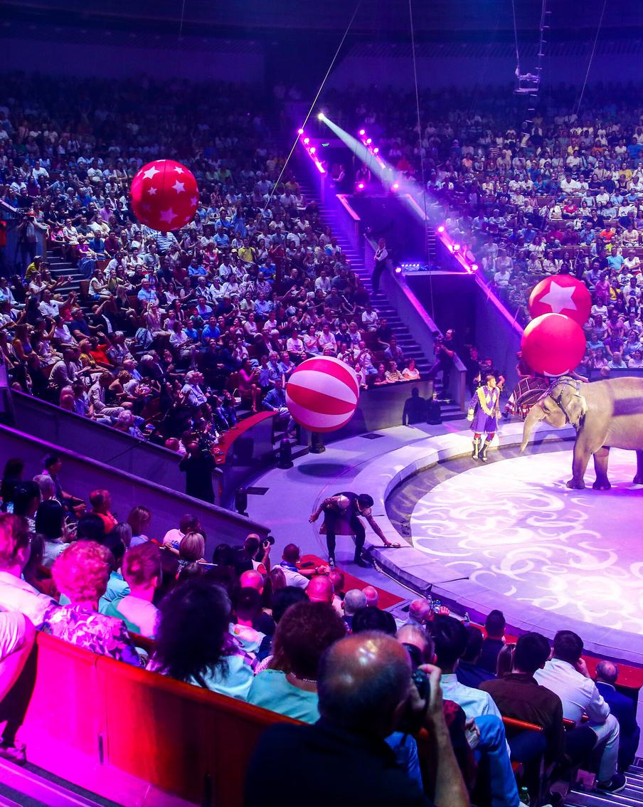 В цирковом фестивале "Идол-2024" в Москве приняли участие артисты из 17 стран