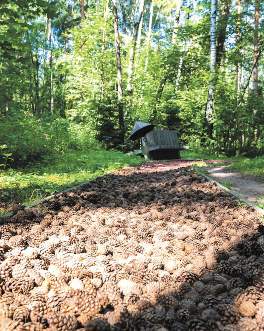 Где в Москве можно пройтись по дну оврага и прикоснуться к верхушкам вековых дубов