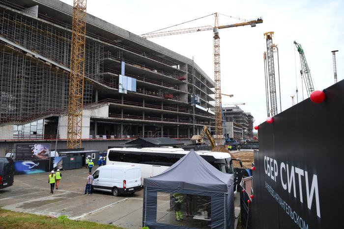 Что такое чеболизация экономики и в чём её преимущества и недостатки