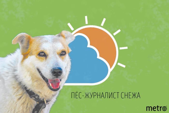 Снежа рада сообщить: нас ждёт "классическое лето"