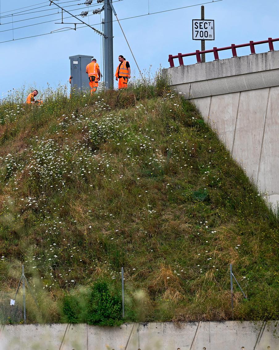 Во Франции отремонтировали повреждённые перед Олимпиадой железнодорожные пути и сопутствующее оборудование