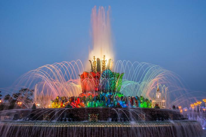 Участники СВО могут бесплатно посещать ряд экспозиций Музейного города ВДНХ