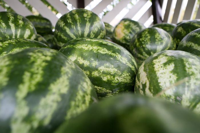 В августе необходимо купить правильный арбуз, узнать Таиланд и заглянуть в будущее