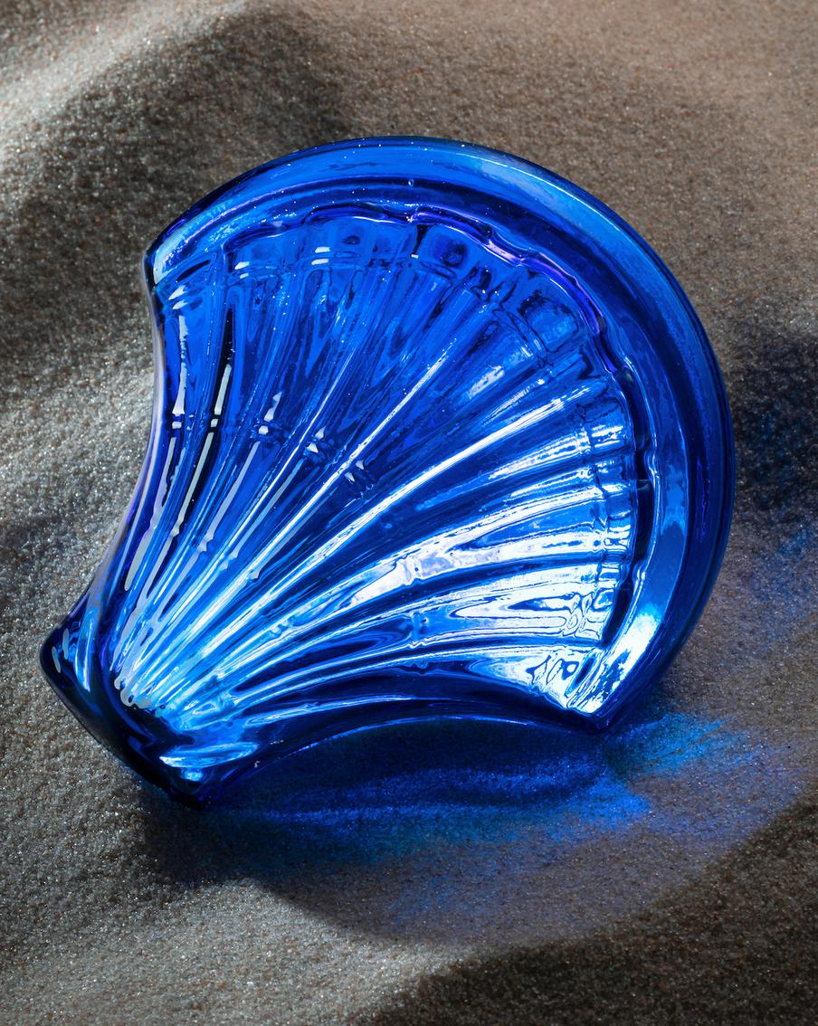 Морские раковины из стекла украсили Музей архитектуры имени А. В. Щусева