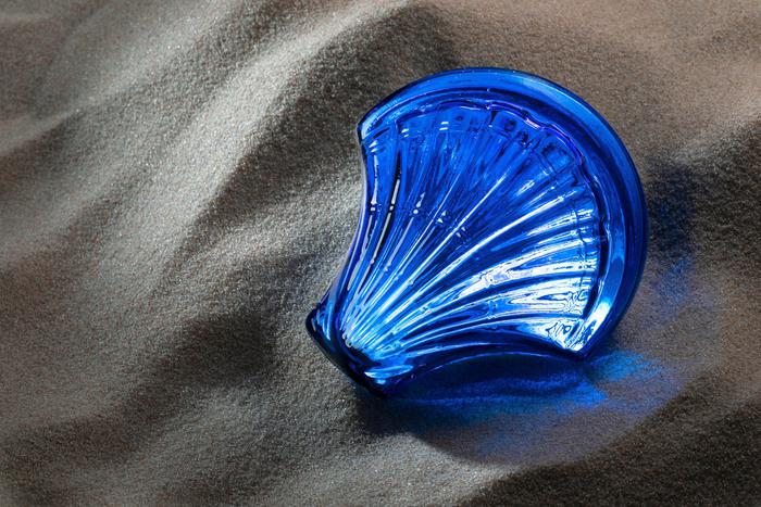 Морские раковины из стекла украсили Музей архитектуры имени А. В. Щусева