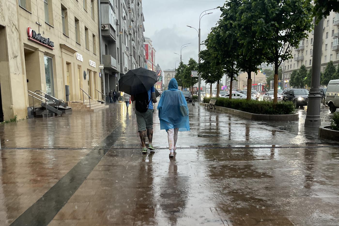 Москвичей предупредили о грозе и сильном ветре