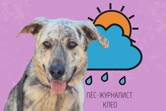 Клео предупреждает: нас ждёт неустойчивая погода