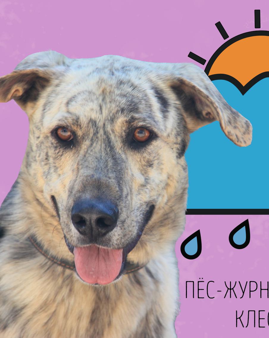 Клео предупреждает: нас ждёт неустойчивая погода