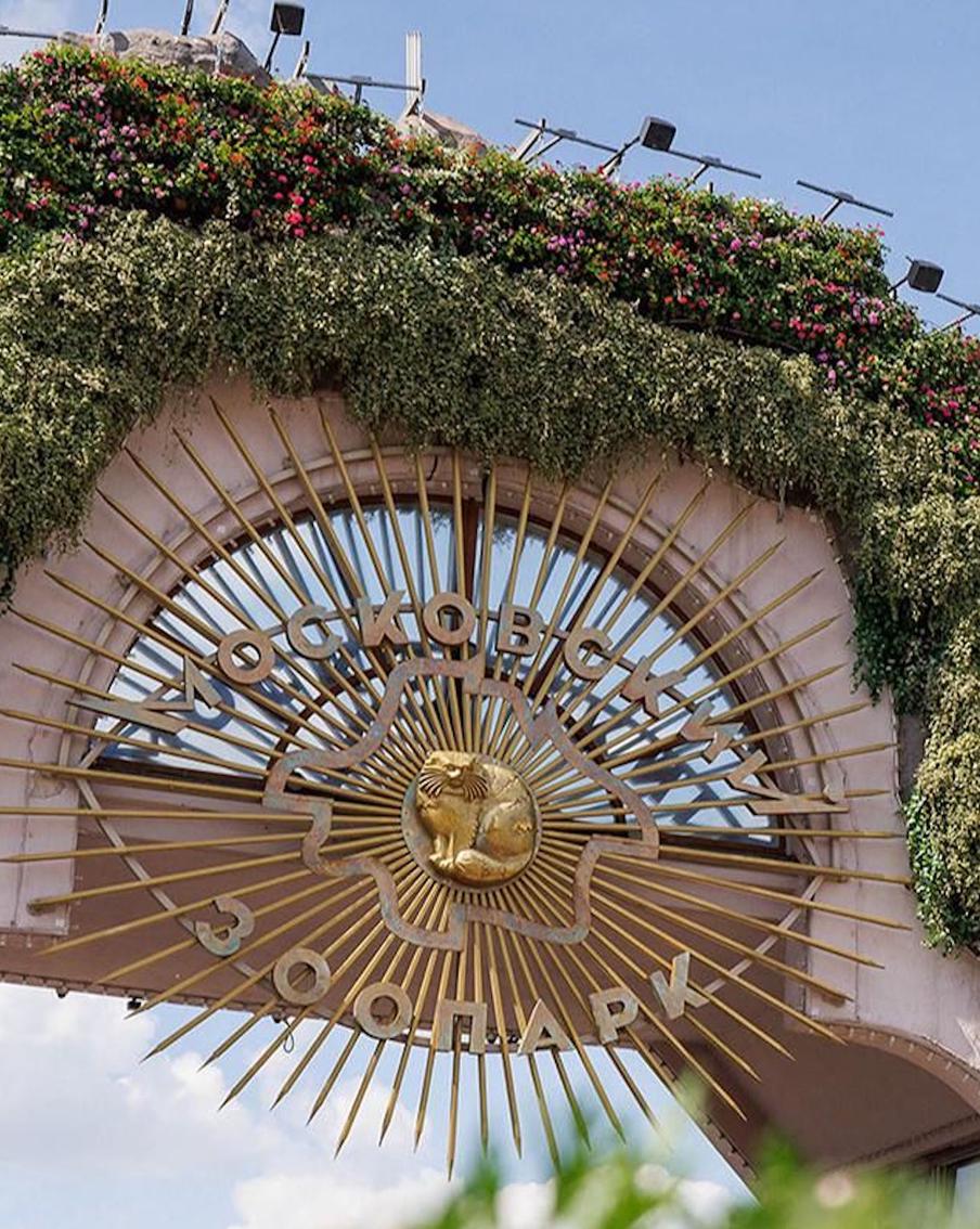 С начала года Московский зоопарк спас около сотни животных